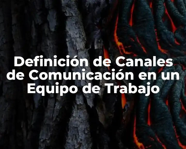 Definición de Canales de Comunicación en un Equipo de Trabajo