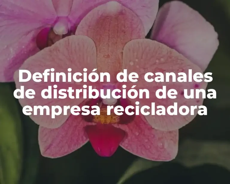 Definición de canales de distribución de una empresa recicladora