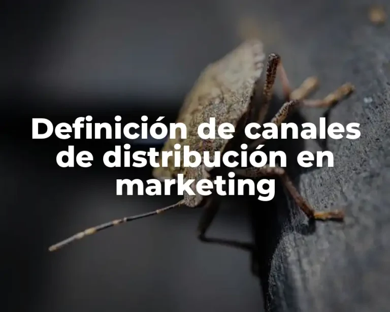 Definición de canales de distribución en marketing