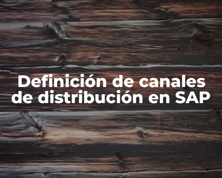 Definición de canales de distribución en SAP