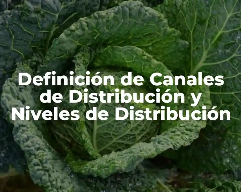 Definición de Canales de Distribución y Niveles de Distribución