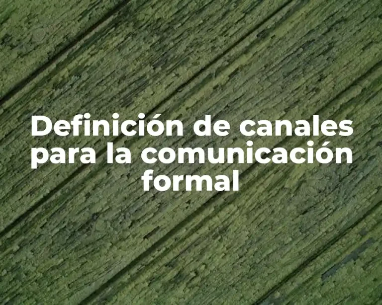 Definición de canales para la comunicación formal