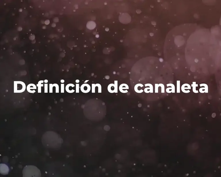 Definición de canaleta
