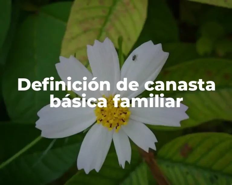 Definición de canasta básica familiar
