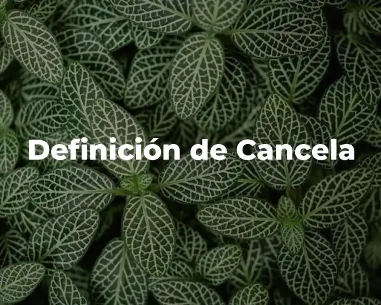 Definición de Cancela