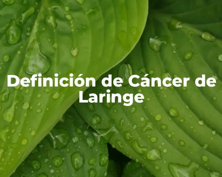 Definición de Cáncer de Laringe