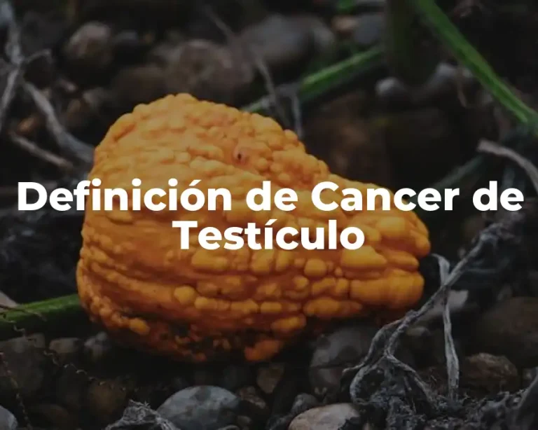 Definición de Cancer de Testículo