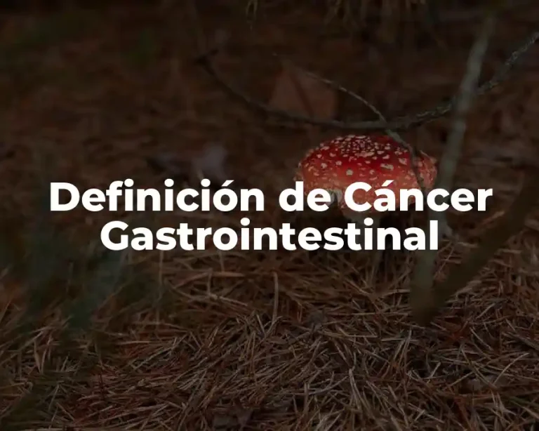 Definición de Cáncer Gastrointestinal