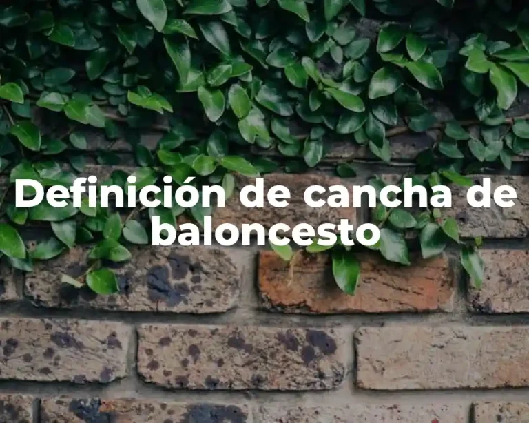 Definición de cancha de baloncesto