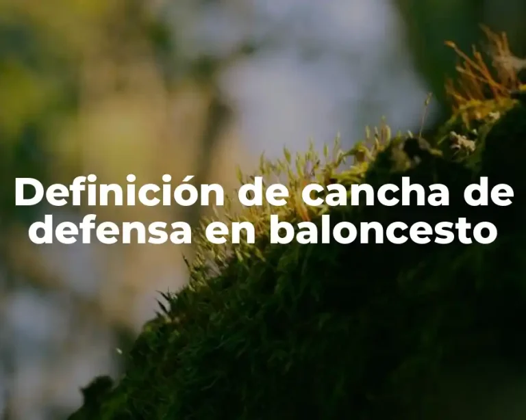 Definición de cancha de defensa en baloncesto