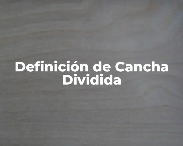 Definición de Cancha Dividida