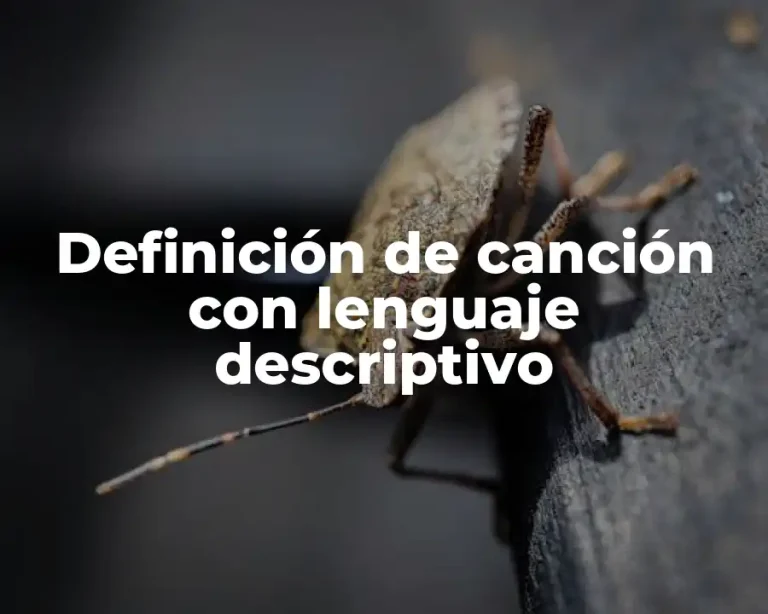 Definición de canción con lenguaje descriptivo