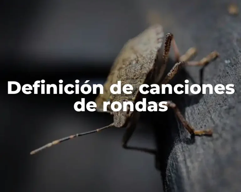 Definición de canciones de rondas