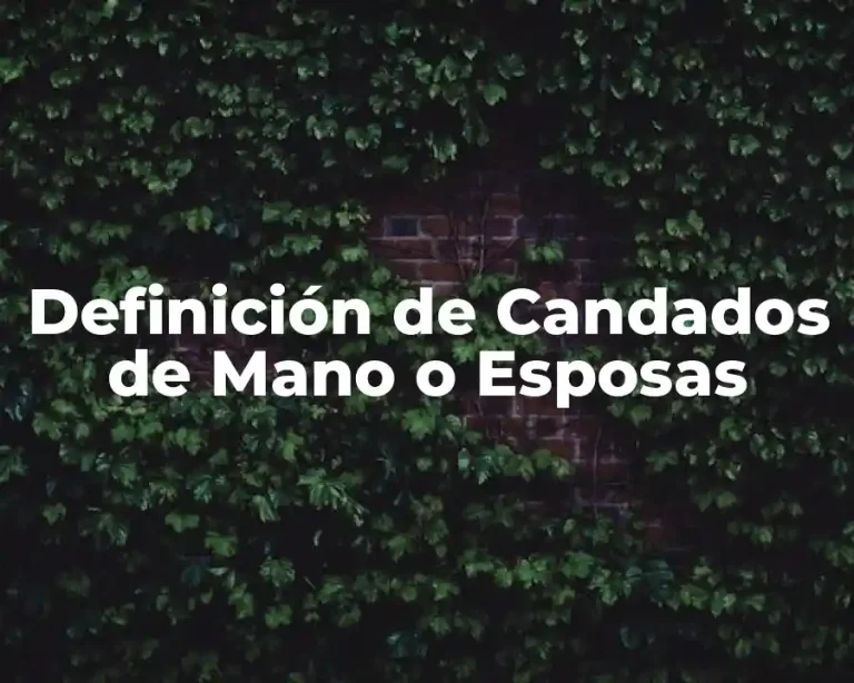 Definición de Candados de Mano o Esposas