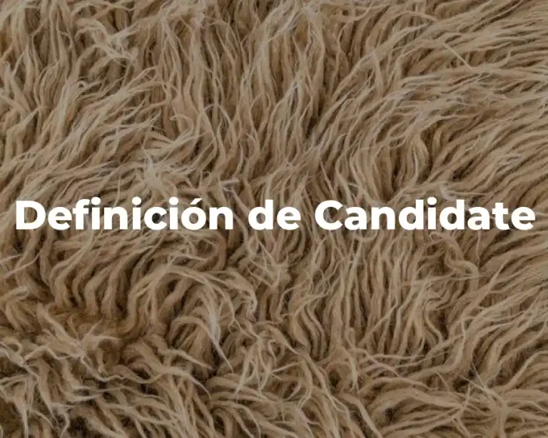 Definición de Candidate