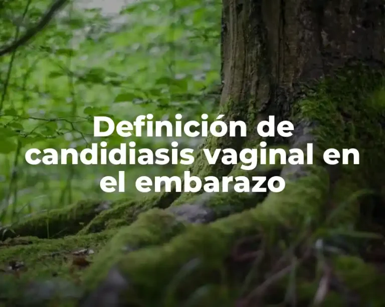 Definición de candidiasis vaginal en el embarazo
