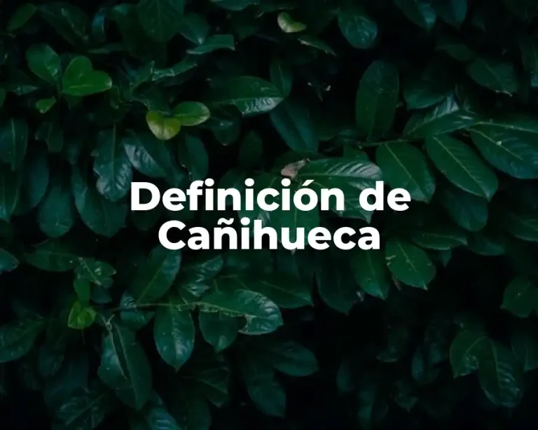 Definición de Cañihueca