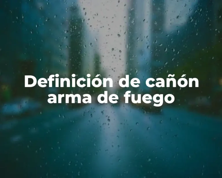 Definición de cañón arma de fuego