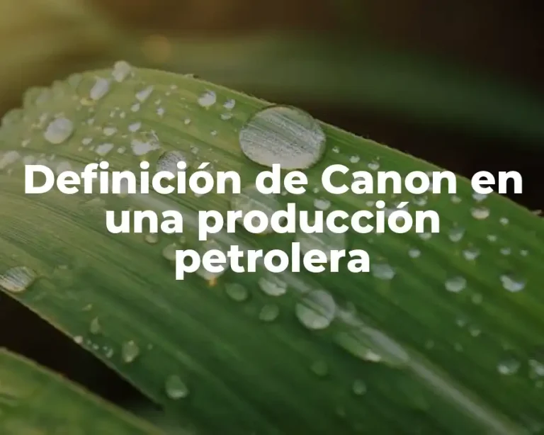 Definición de Canon en una producción petrolera
