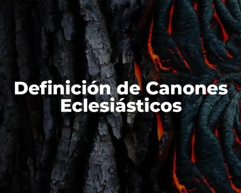 Definición de Canones Eclesiásticos