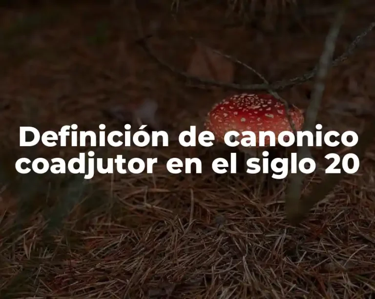 Definición de canonico coadjutor en el siglo 20