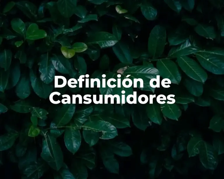 Definición de Cansumidores