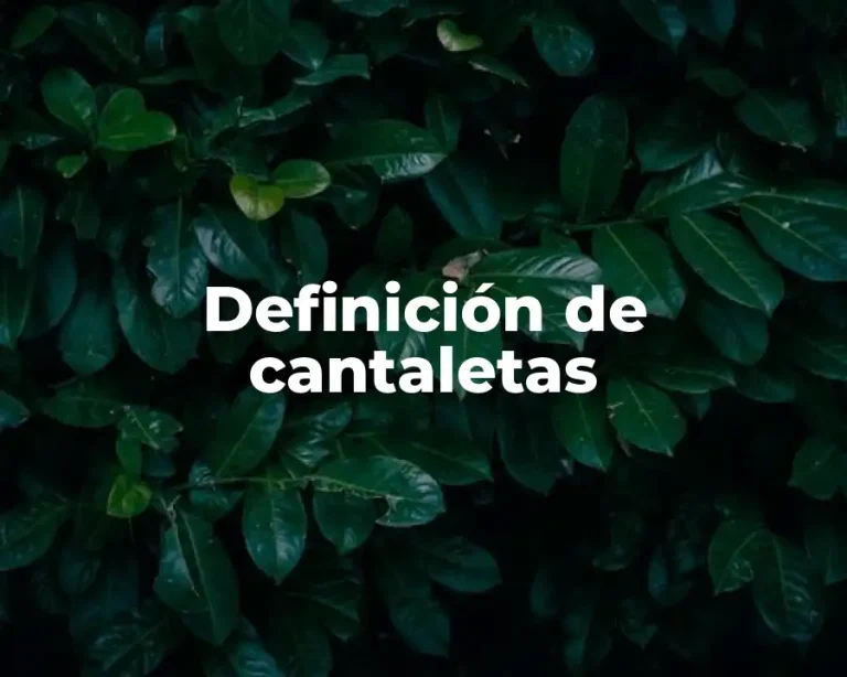 Definición de cantaletas