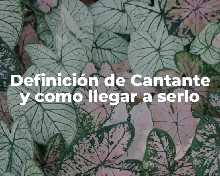 Definición de Cantante y como llegar a serlo