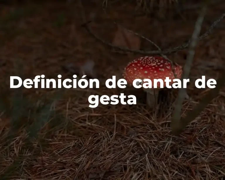 Definición de cantar de gesta