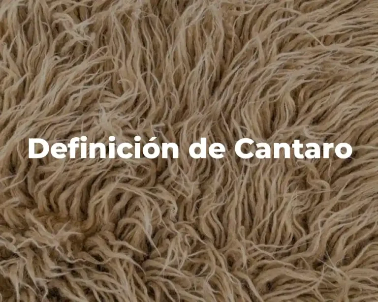 Definición de Cantaro
