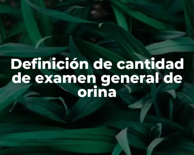 Definición de cantidad de examen general de orina