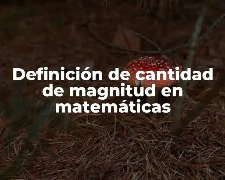 Definición de cantidad de magnitud en matemáticas