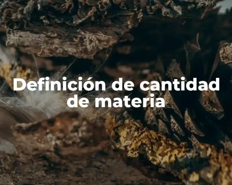 Definición de cantidad de materia