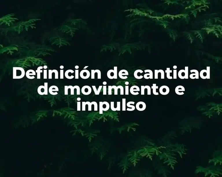 Definición de cantidad de movimiento e impulso