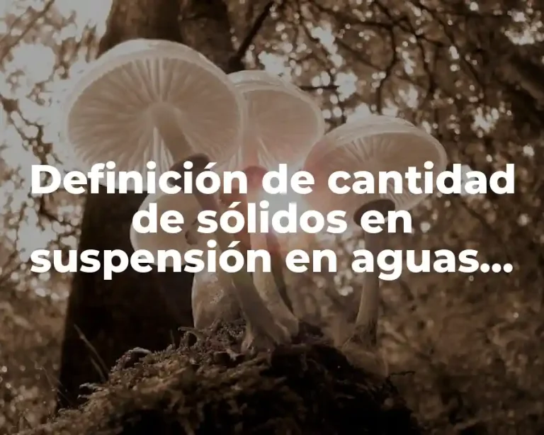 Definición de cantidad de sólidos en suspensión en aguas residuales