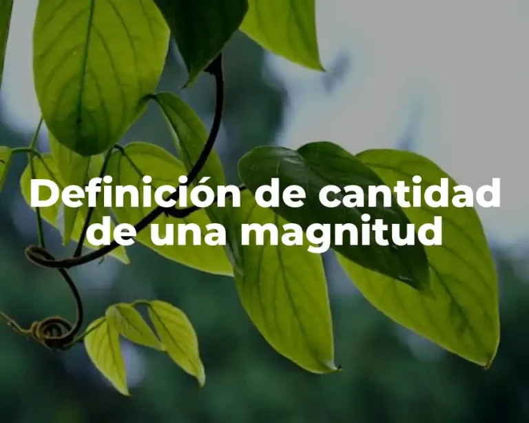 Definición de cantidad de una magnitud