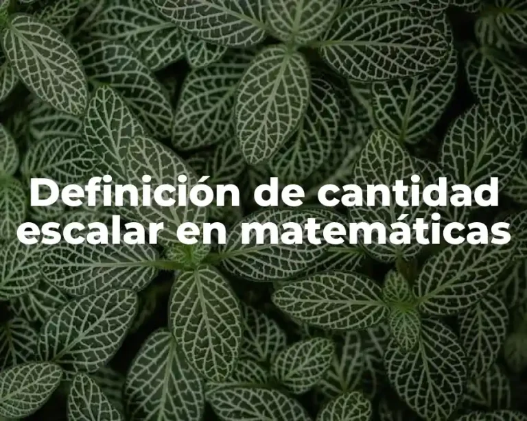 Definición de cantidad escalar en matemáticas