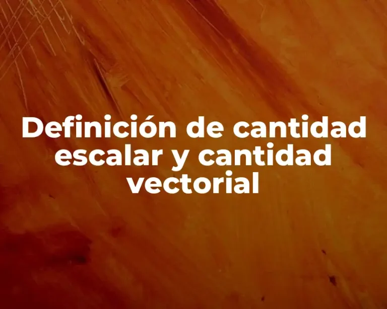 Definición de cantidad escalar y cantidad vectorial
