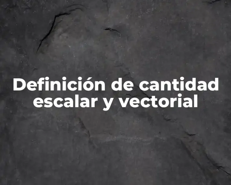 Definición de cantidad escalar y vectorial