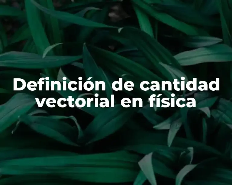Definición de cantidad vectorial en física