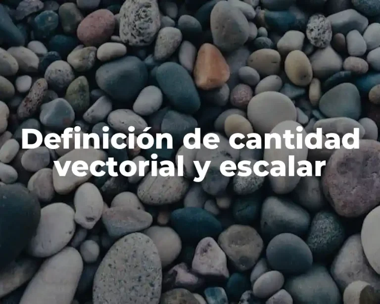 Definición de cantidad vectorial y escalar