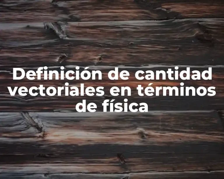 Definición de cantidad vectoriales en términos de física
