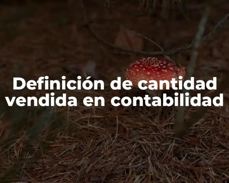 Definición de cantidad vendida en contabilidad