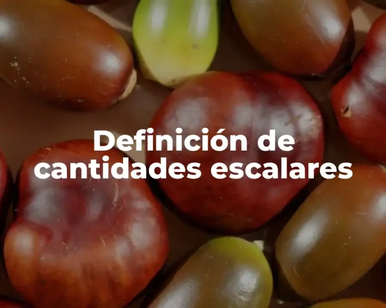 Definición de cantidades escalares