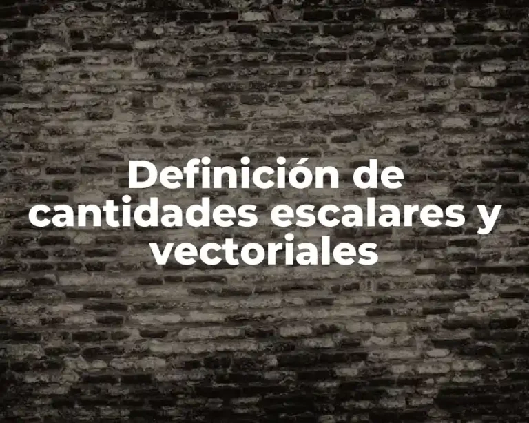 Definición de cantidades escalares y vectoriales