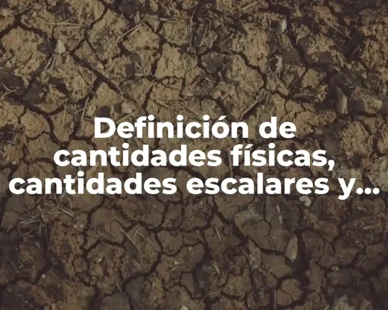Definición de cantidades físicas, cantidades escalares y vectoriales