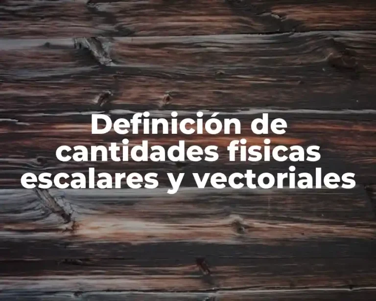 Definición de cantidades fisicas escalares y vectoriales