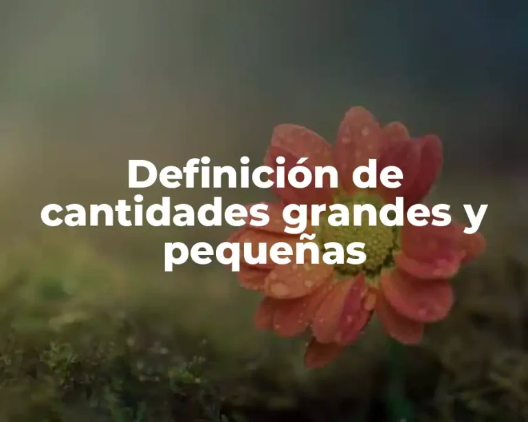 Definición de cantidades grandes y pequeñas