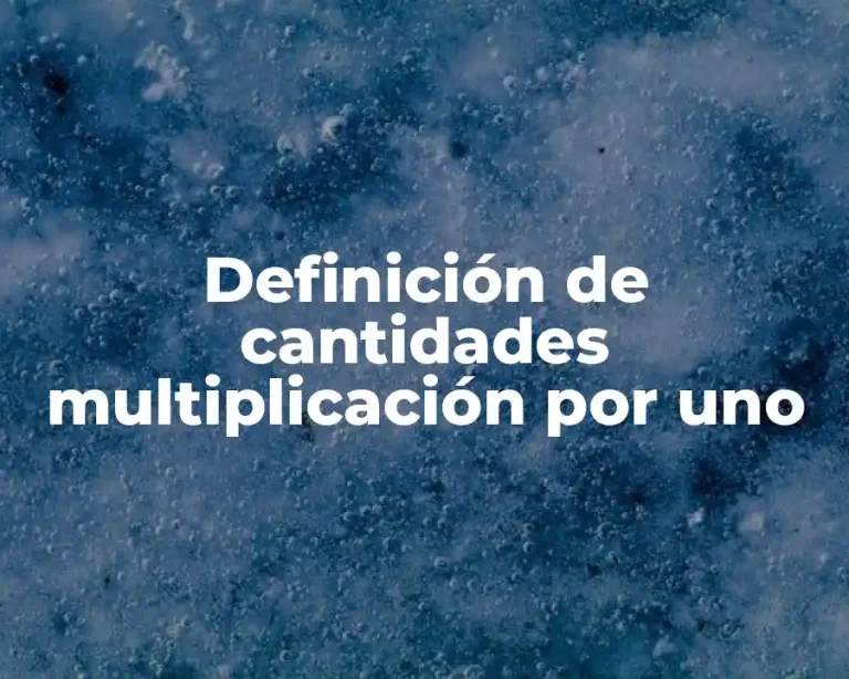 Definición de cantidades multiplicación por uno