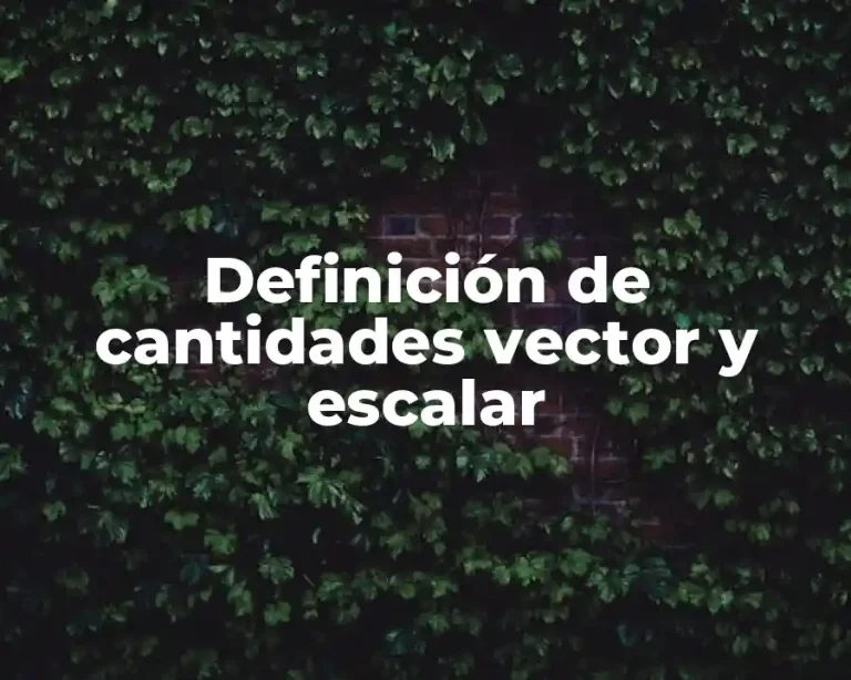 Definición de cantidades vector y escalar